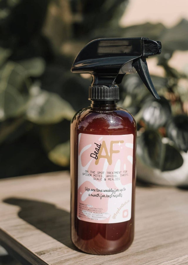 Dead AF - On the Spot Pest Spray - 16oz