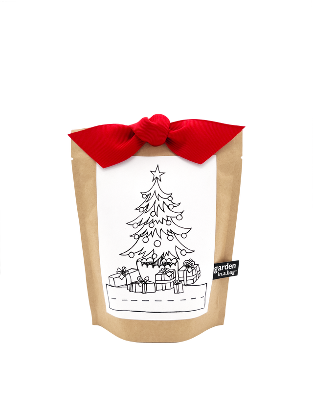 Kids Garden in a Bag | Christmas Tree